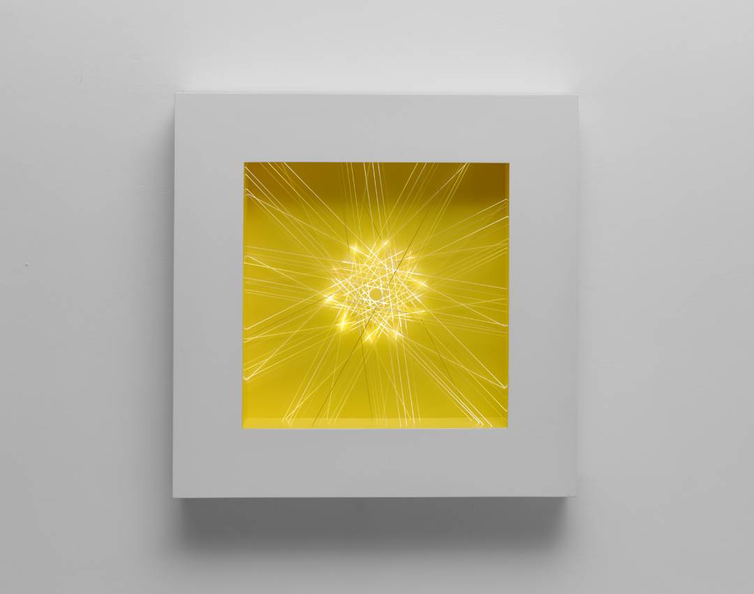 little yellow star 44219 little yellow star 44219